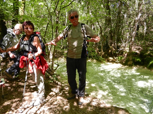 Un joli petit pont de bois